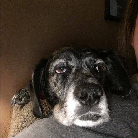 Meet your Posher, Jill - Picture 1 of 1